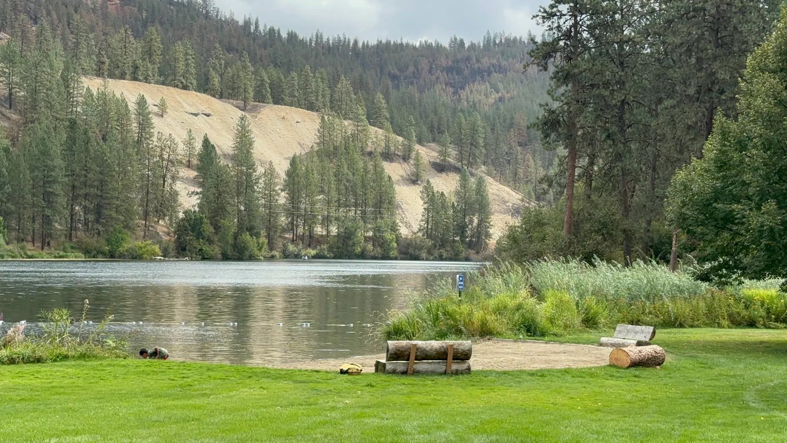 A river bordered by evergreen hills and a grassy shore